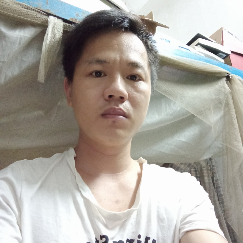 小海豚迷离的照片