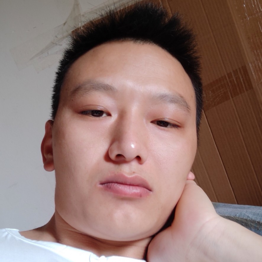 笨笨踢飞机的照片