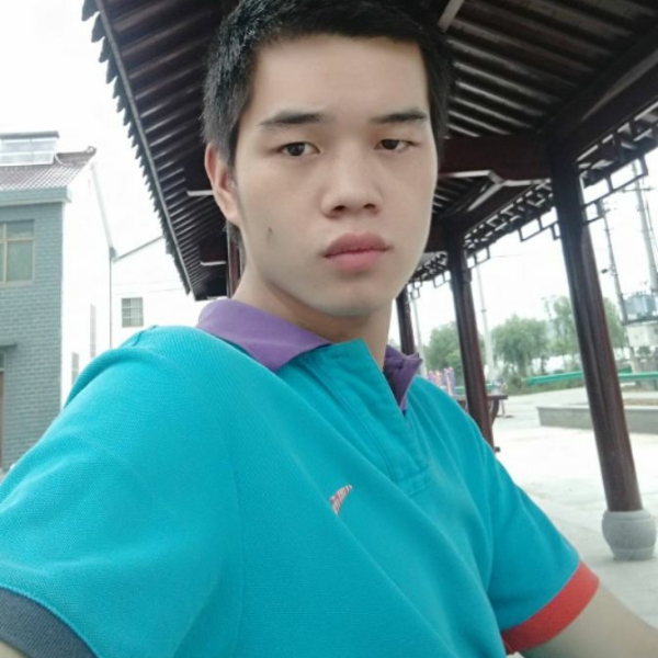 欢喜回首长颈鹿的照片