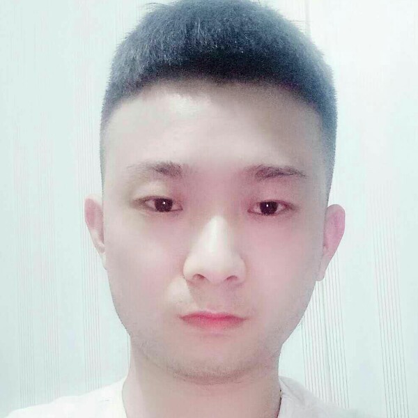 灰狼等于开放的照片