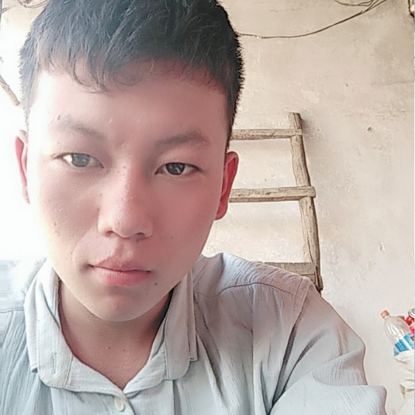 长颈鹿闻单身的照片