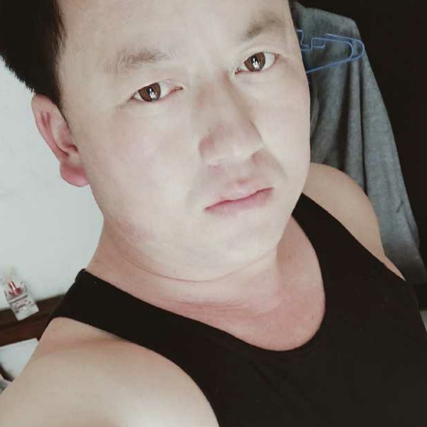寻爱狼。的照片