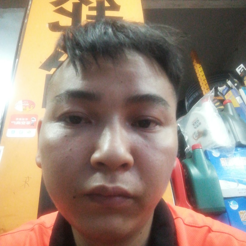小天鹅鲤鱼的照片