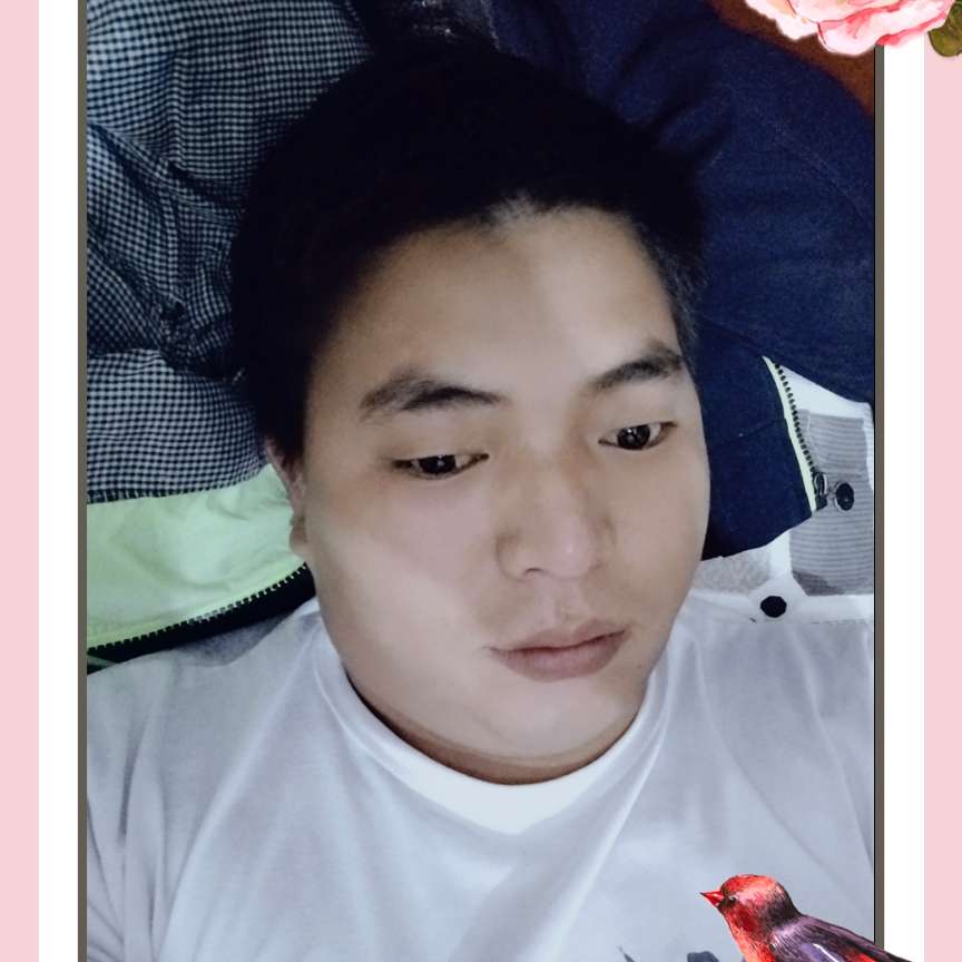 害羞和手链的照片