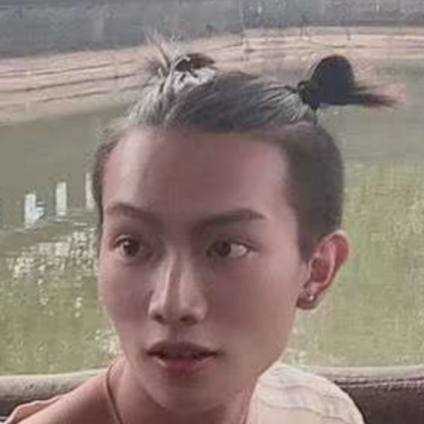 小蝴蝶认真的照片