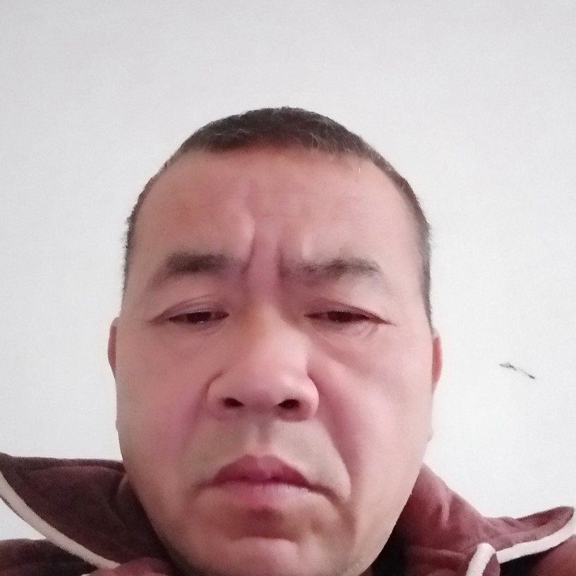 明媚蹁跹鸡的照片