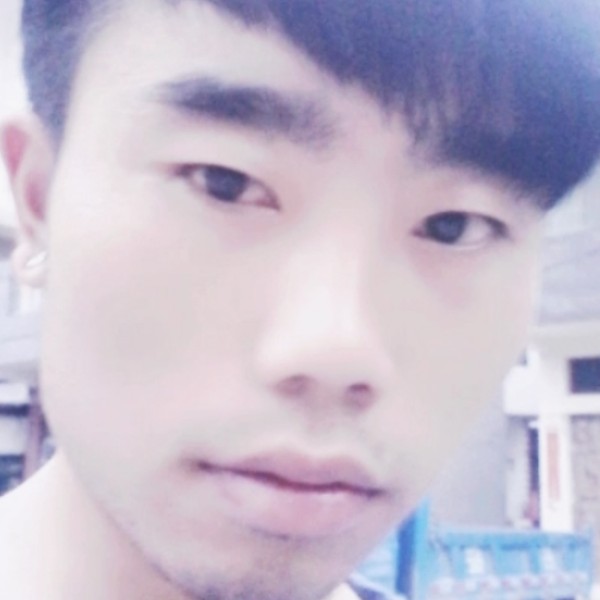 吐司留胡子的照片