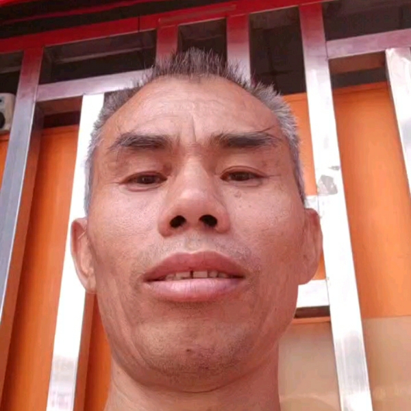 悲凉小蜜蜂男的照片