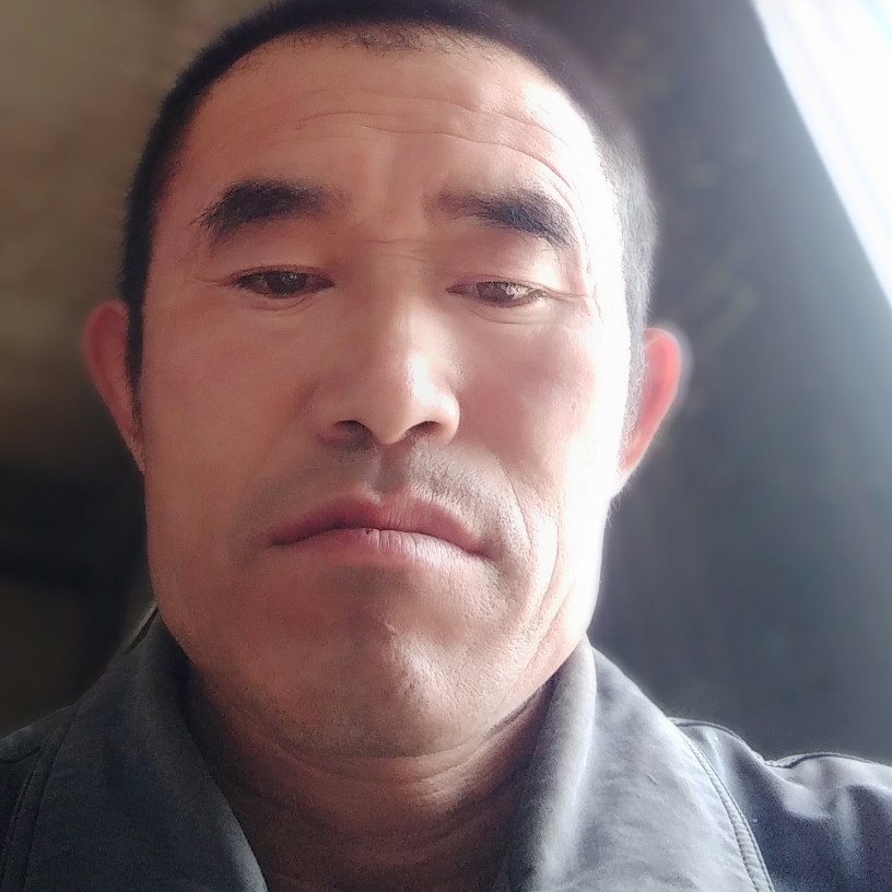 优秀停止青琯的照片