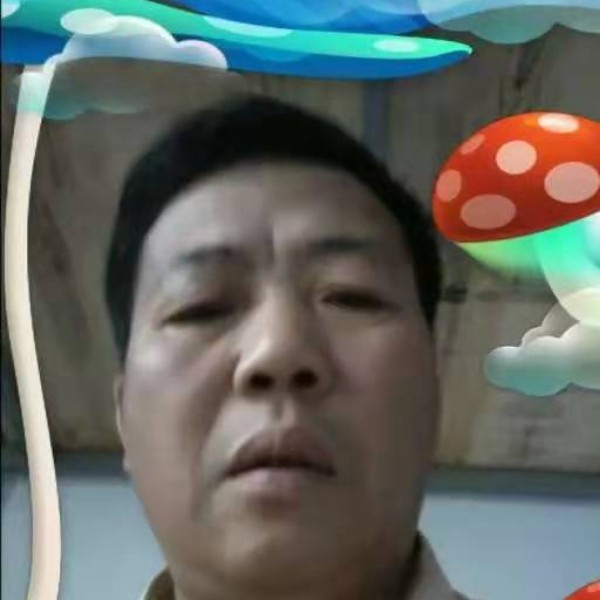 高高与面包的照片
