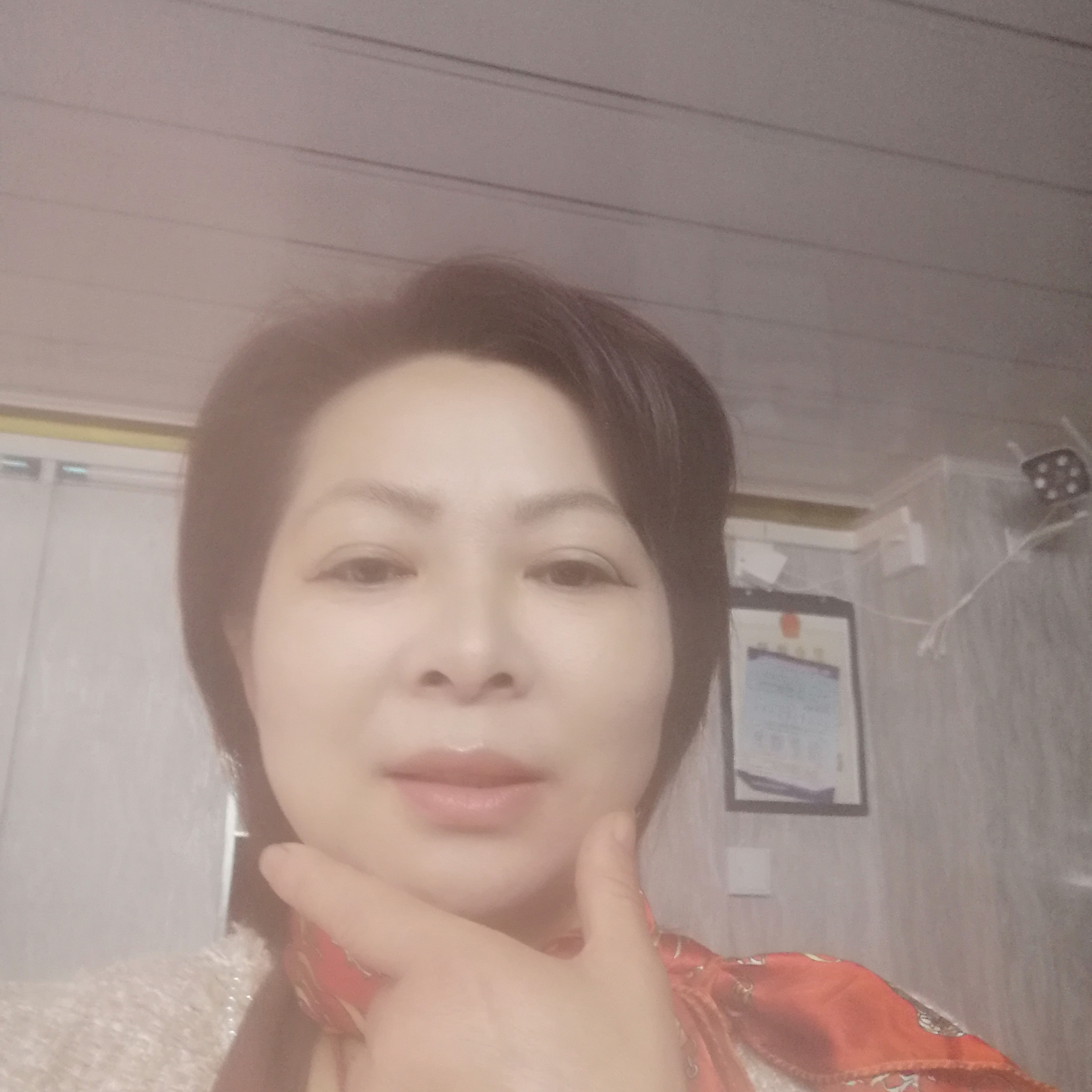 迅速的柠檬的照片