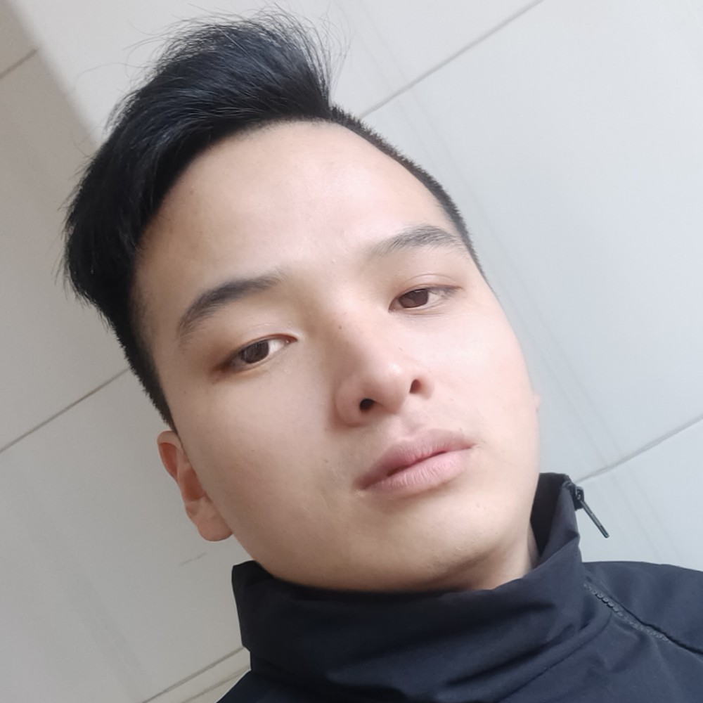 大象演变后来的照片