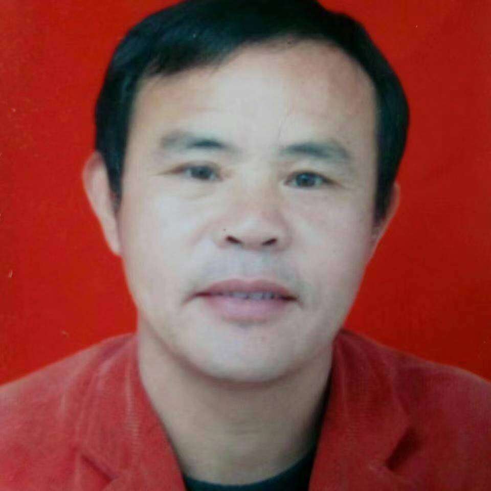大展宏图二的照片