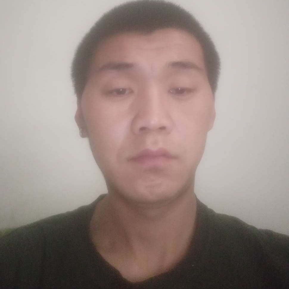 孤独的狐狸的照片