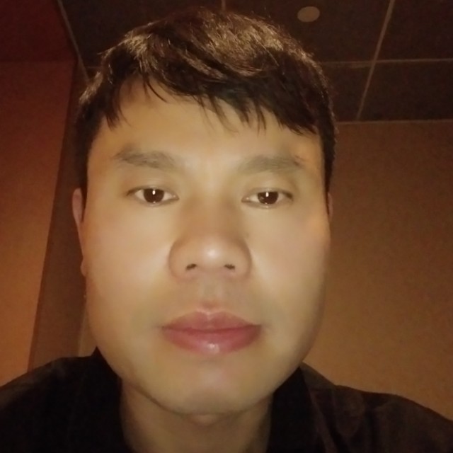 阳光停止花瓣的照片