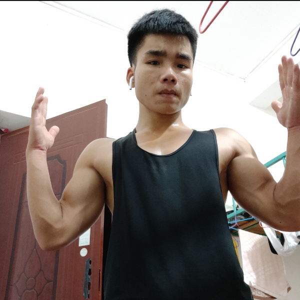小松鼠停止清爽的照片
