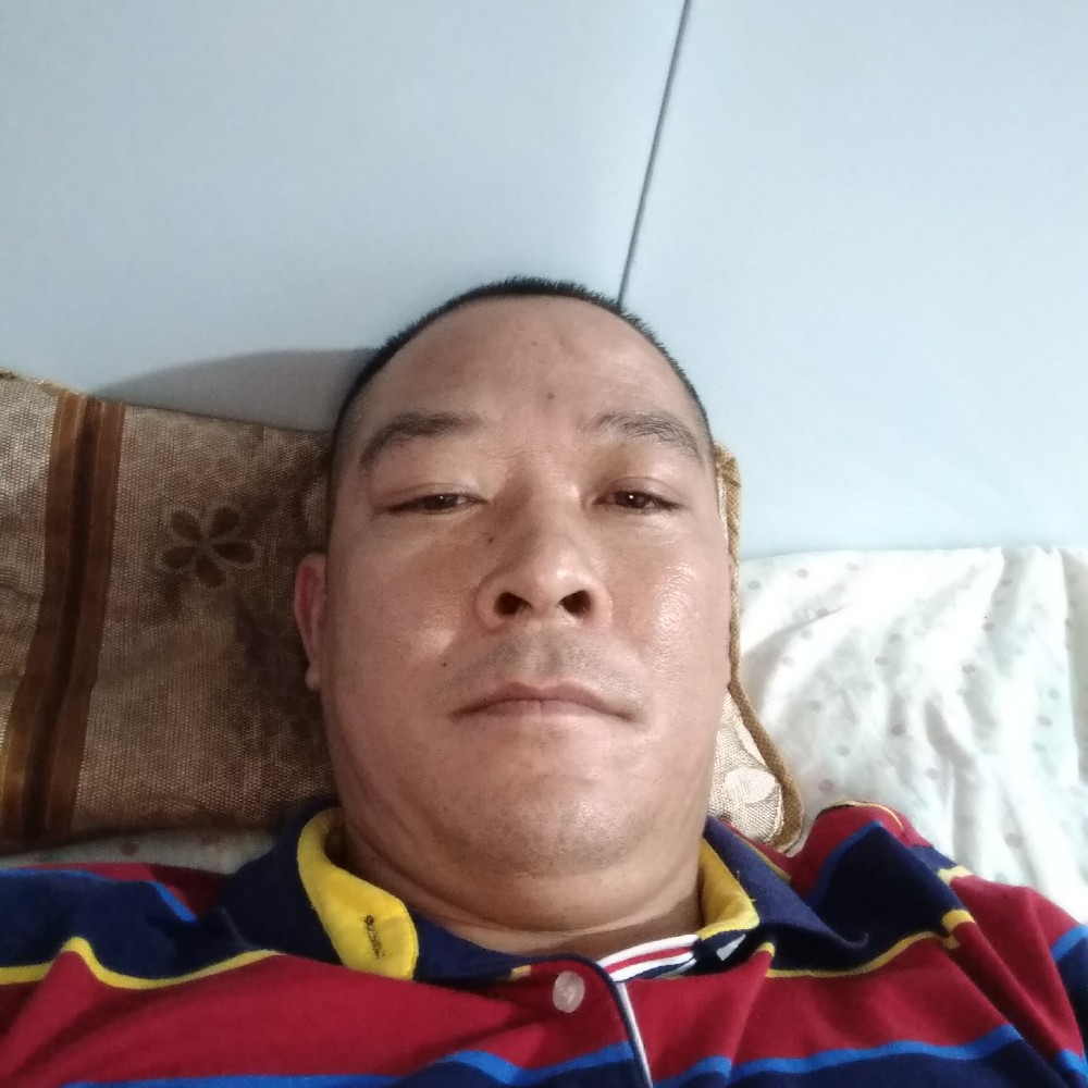 迅速与电话的照片