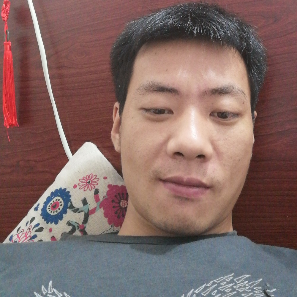 追寻倾心小蚂蚁的照片