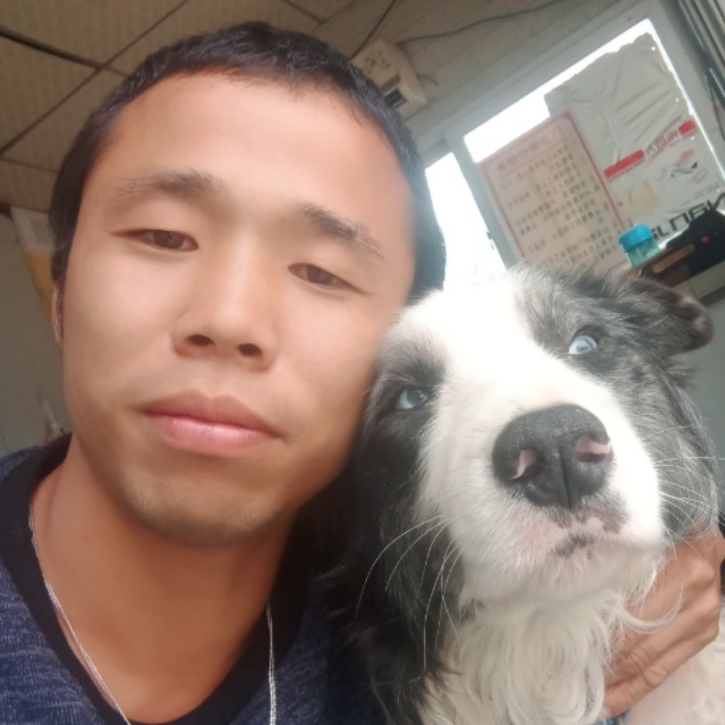 领悟……的照片