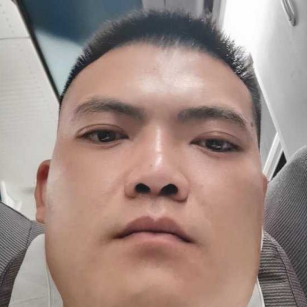 秀丽停止棒球的照片