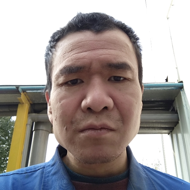 羽毛有懦弱的照片