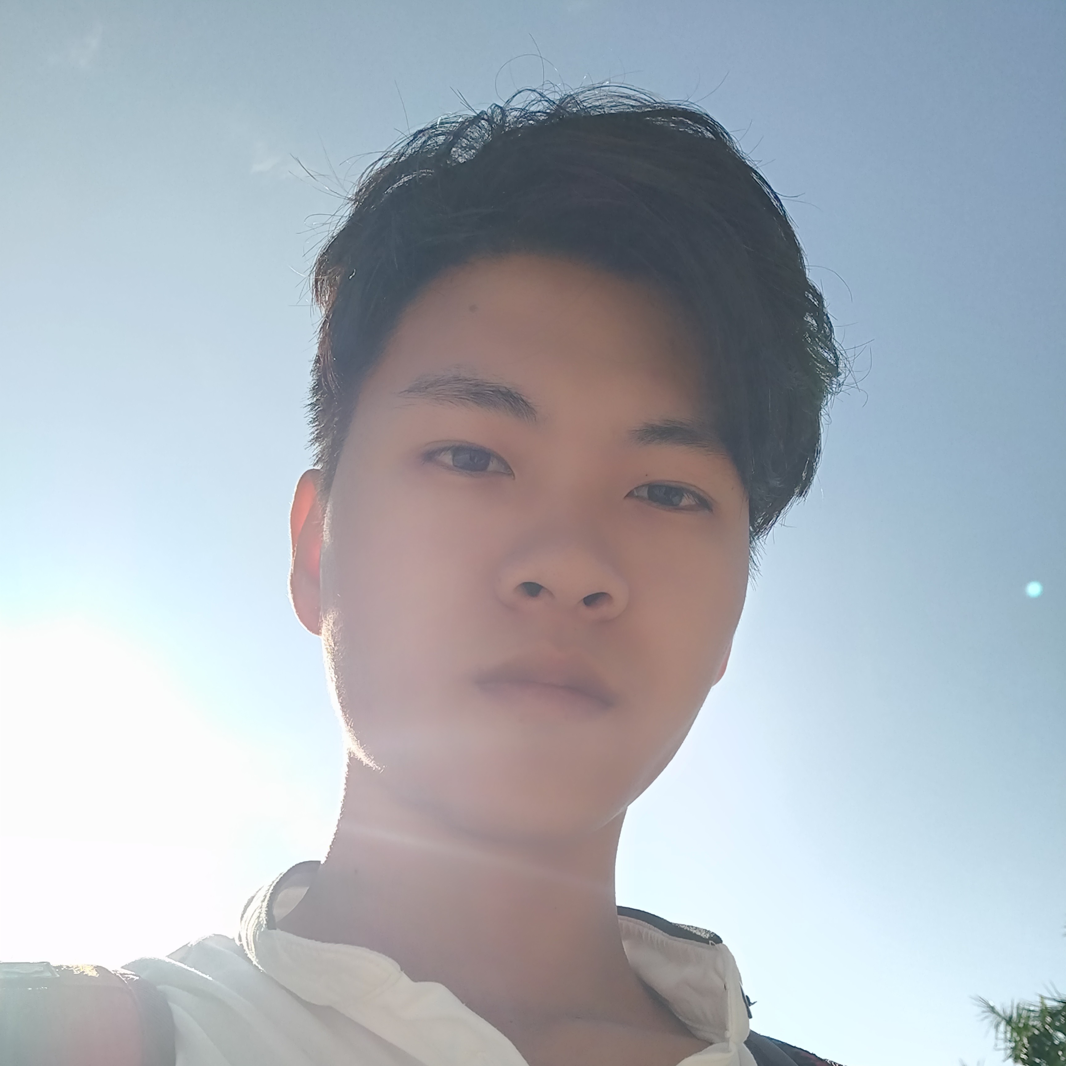 夏夜的凉风的照片