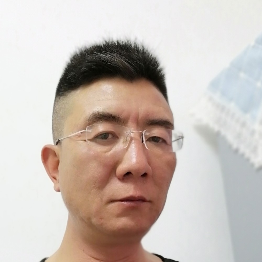 北方大雁的照片