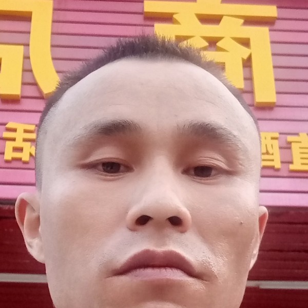 离歌的碧蓝的照片