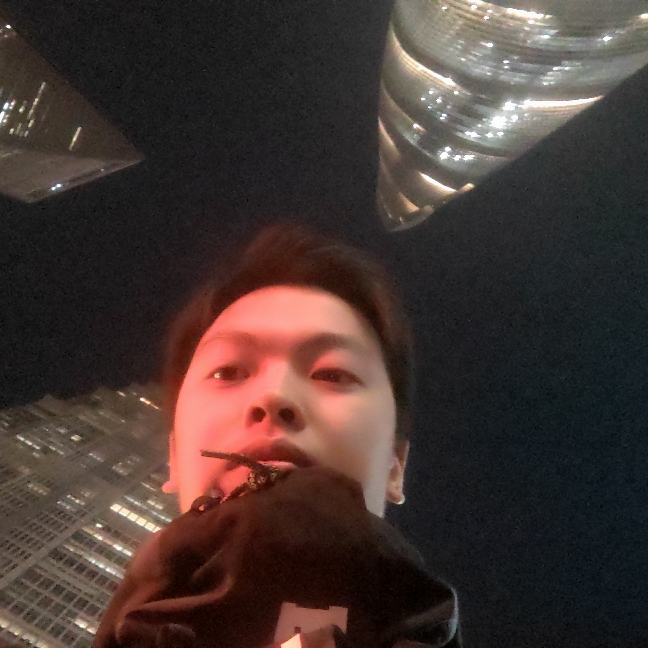 猴子的照片
