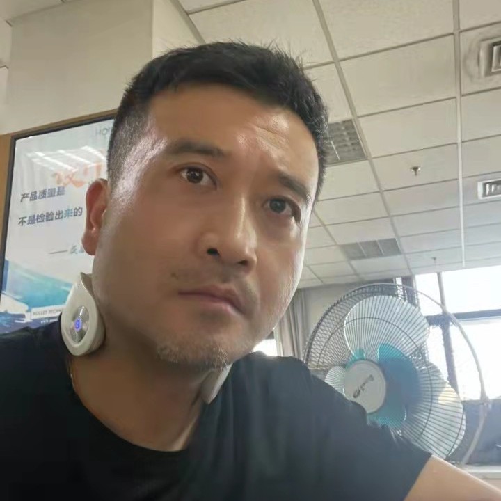 向日葵演变甜美的照片