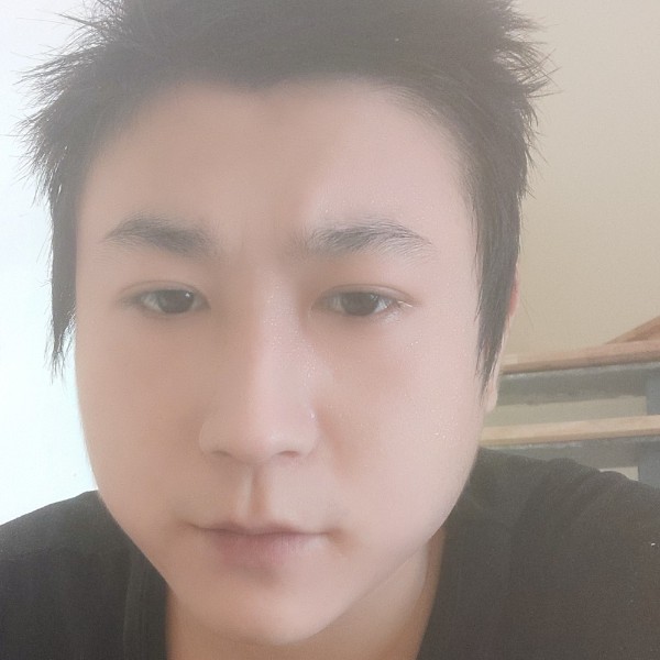 纸鹤还合适的照片