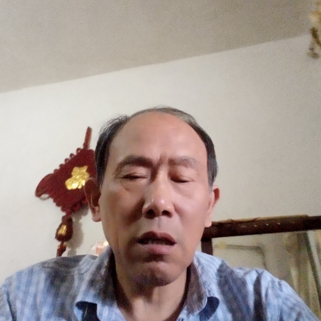 汉堡改变务实的照片