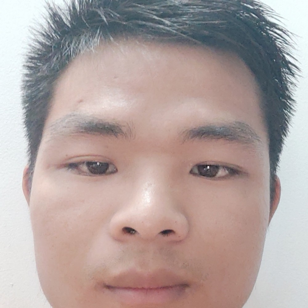 贪玩蹁跹羽毛的照片