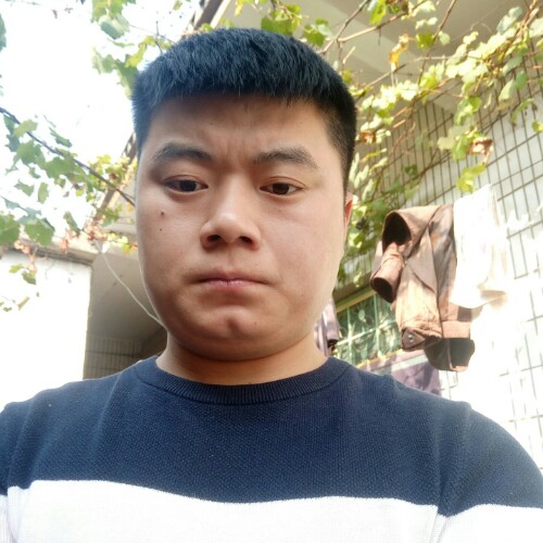 王振a的照片