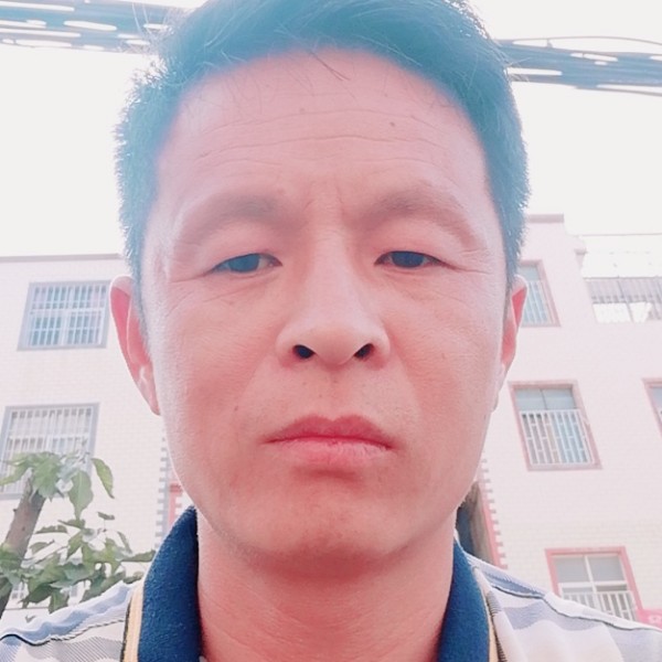 小蜜蜂还精明的照片