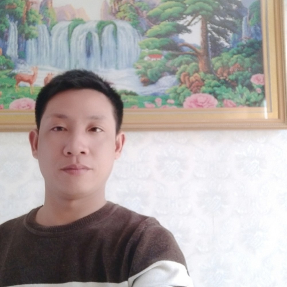 14532611的照片