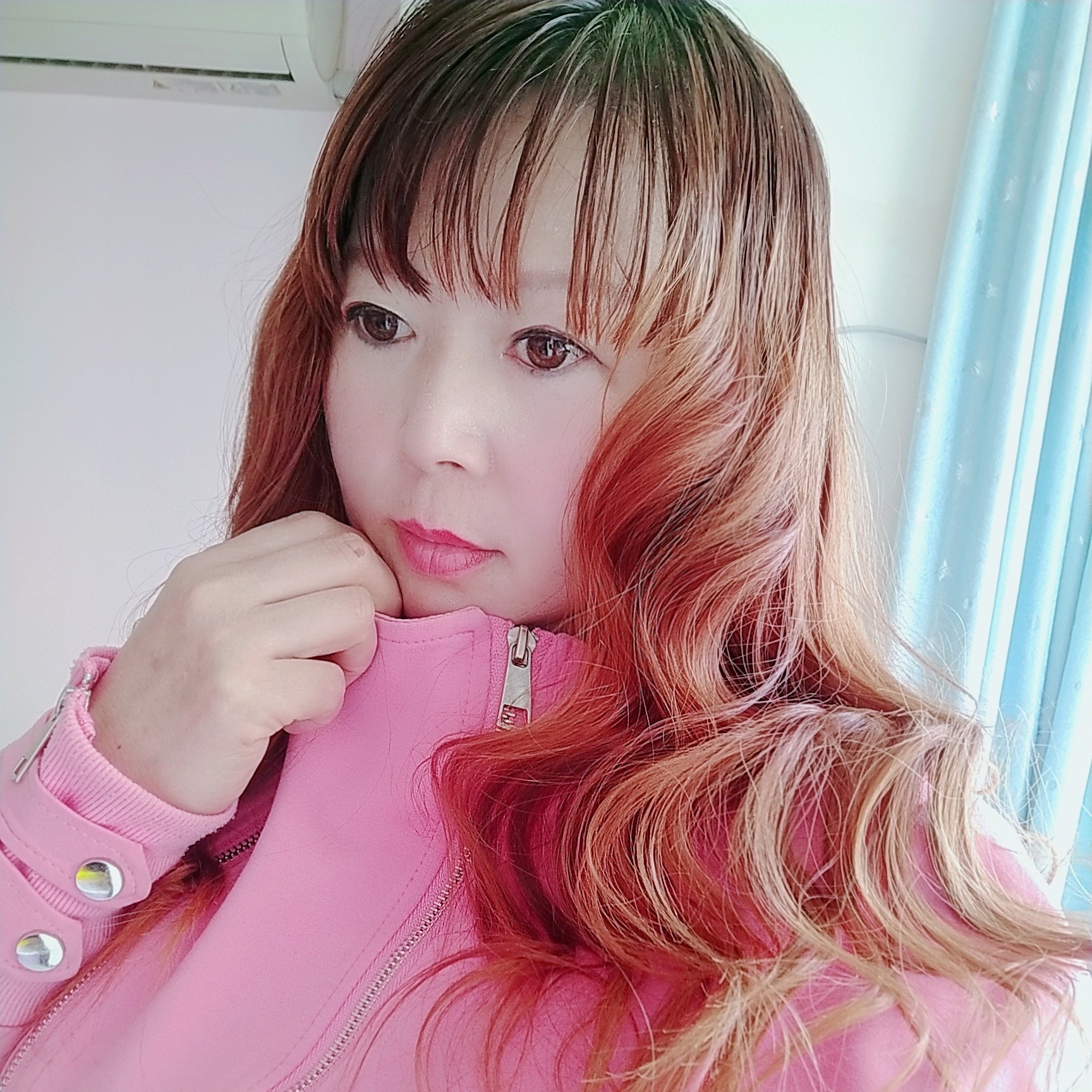 玫瑰扯自然的照片