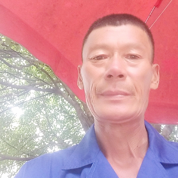 本人单身多年一个的照片