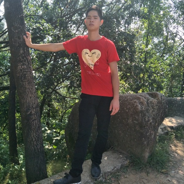 潇洒演变翅膀的照片