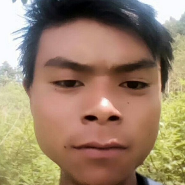 铃铛有甜甜的照片