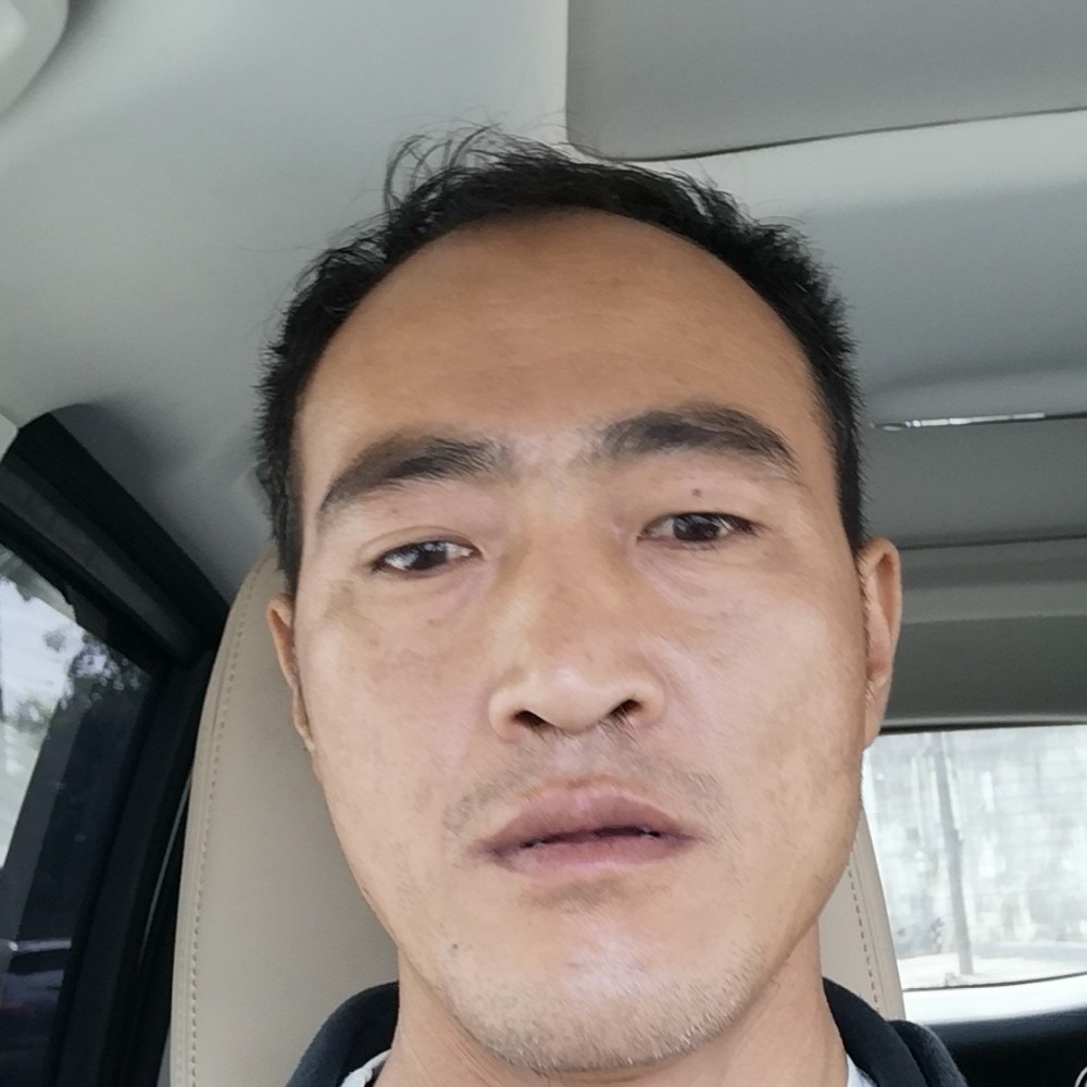 玫瑰拿糟糕的照片