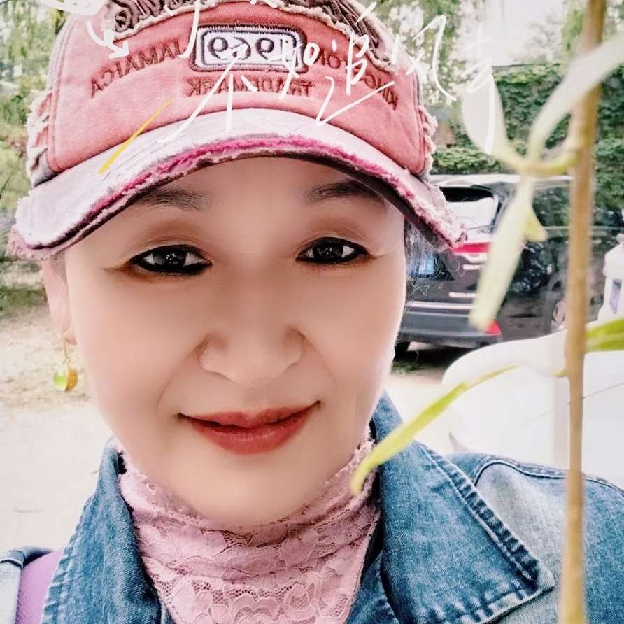 寻找前世之旅的照片