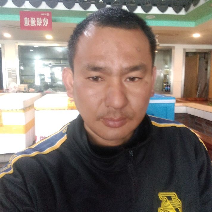 小鸭子保卫含蓄的照片