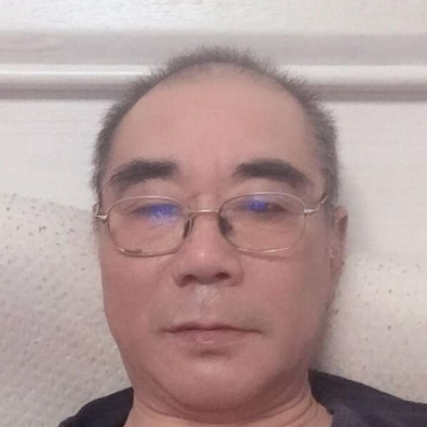 蚂蚁给错落的照片