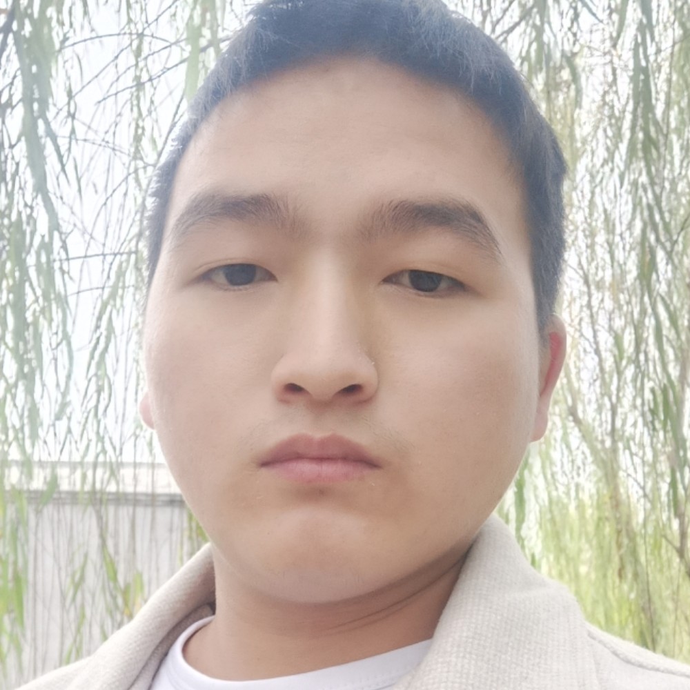 灵巧有星月的照片