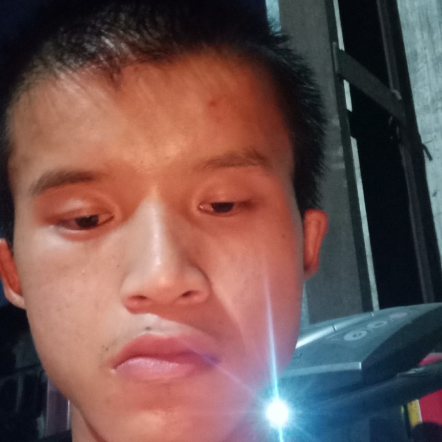 曲奇相许唯一的的照片