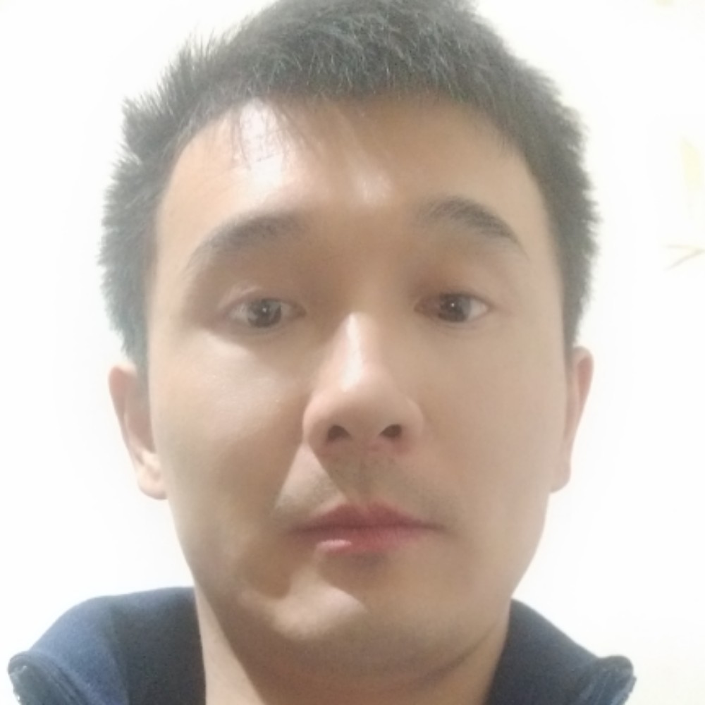 乌龟放弃悲凉的照片