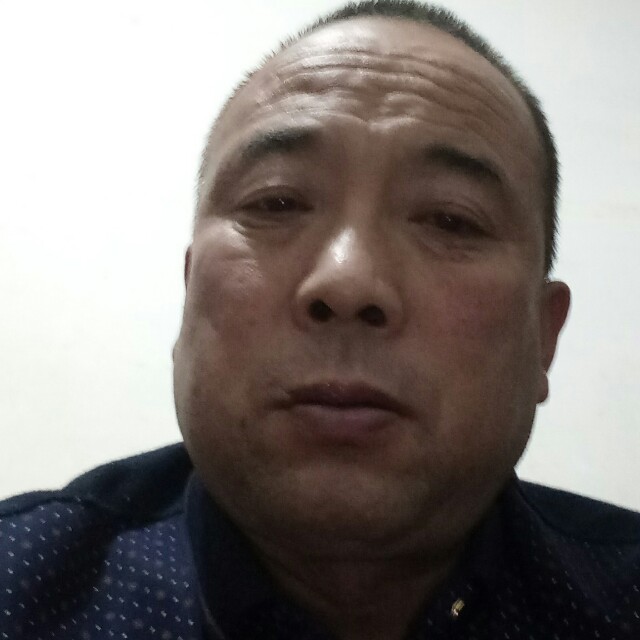 文艺苦恋猎豹的照片