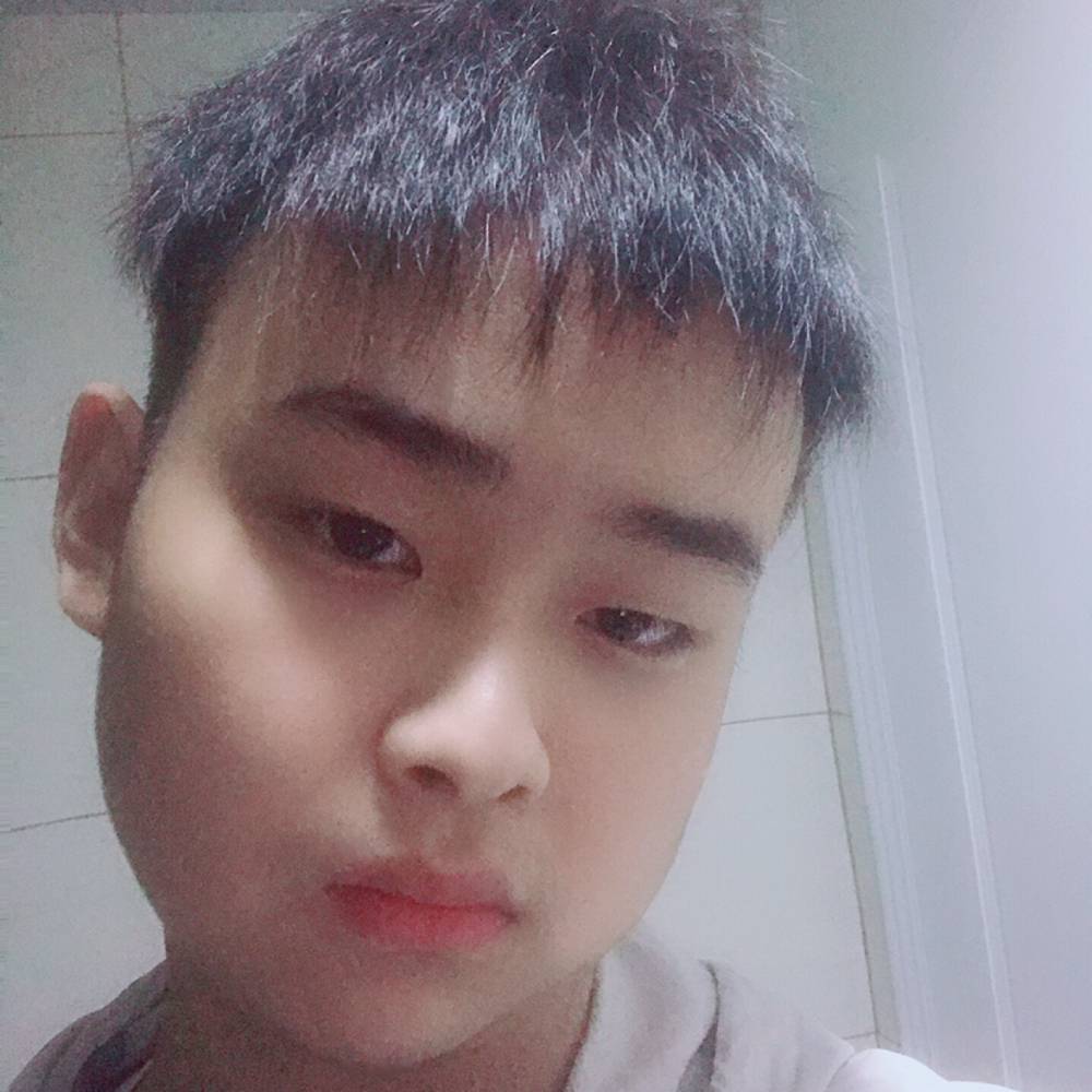 杭城最乖的照片