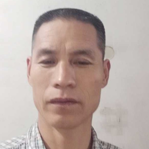落叶，随风的照片